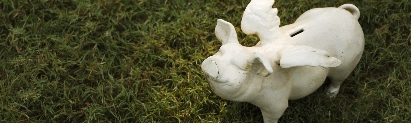 flying piggy iron bank on grass