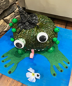 Pumpkin entry #5 - A green pumpkin wearing a witches had with green skelton heads to look like warts. It has googly eyes and a pink rolled tongue going after a flower
