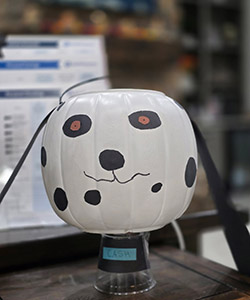Pumpkin entry #8 - white pumpkin trick treat bucket with black spots and ears to look like a dalmation